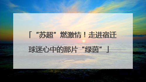 “苏超”燃激情！走进宿迁球迷心中的那片“绿茵”