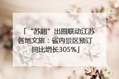 “苏超”出圈联动江苏各地文旅：省内景区预订同比增长305%