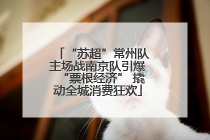 “苏超”常州队主场战南京队引爆“票根经济” 撬动全城消费狂欢