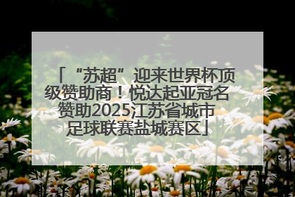 “苏超”迎来世界杯顶级赞助商！悦达起亚冠名赞助2025江苏省城市足球联赛盐城赛区
