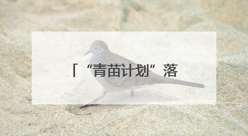 “青苗计划”落地 流动图书车开进天心校园