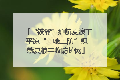 “铁翼”护航麦浪丰 平凉“一喷三防”织就夏粮丰收防护网