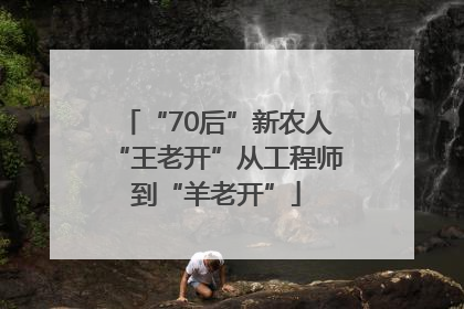 “70后”新农人“王老开”从工程师到“羊老开”