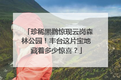 珍稀黑鹳惊现云岗森林公园！丰台这片宝地藏着多少惊喜？