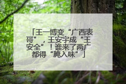 王一博变“广西表哥”，王安宇成“王安全”！谁来了两广都得“腌入味”