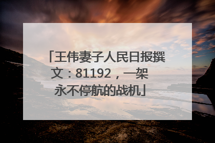 王伟妻子人民日报撰文：81192，一架永不停航的战机