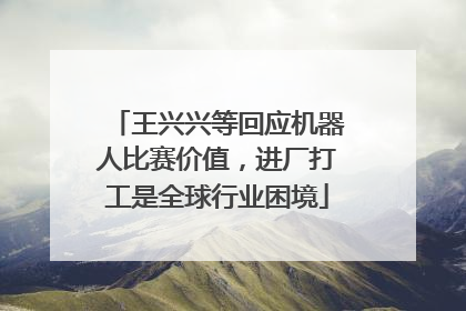 王兴兴等回应机器人比赛价值，进厂打工是全球行业困境