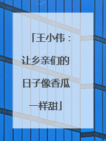 王小伟：让乡亲们的日子像香瓜一样甜