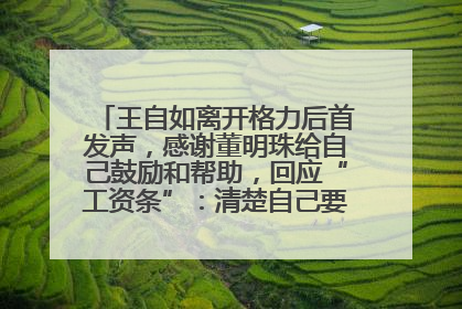 王自如离开格力后首发声，感谢董明珠给自己鼓励和帮助，回应“工资条”：清楚自己要什么，工资条不重要