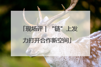 现场评｜“链”上发力打开合作新空间