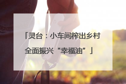 灵台：小车间榨出乡村全面振兴“幸福油”