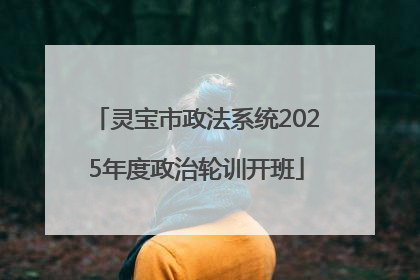 灵宝市政法系统2025年度政治轮训开班