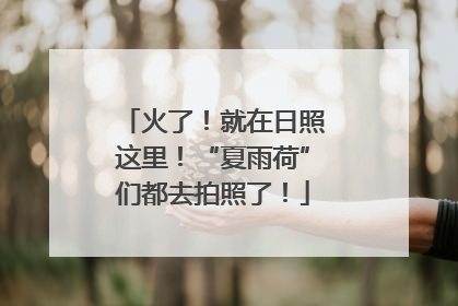火了！就在日照这里！“夏雨荷”们都去拍照了！