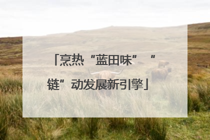 烹热“蓝田味”“链”动发展新引擎