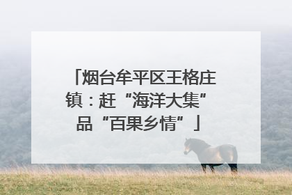 烟台牟平区王格庄镇：赶“海洋大集” 品“百果乡情”