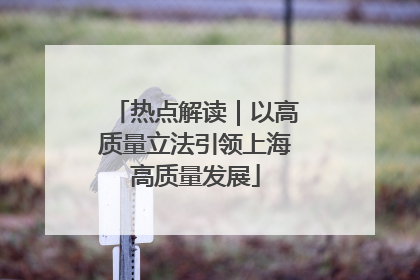 热点解读｜以高质量立法引领上海高质量发展