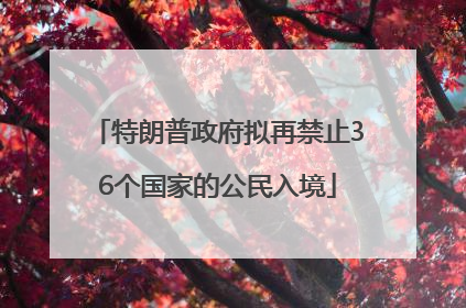 特朗普政府拟再禁止36个国家的公民入境