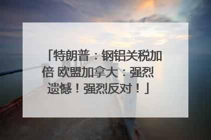 特朗普：钢铝关税加倍 欧盟加拿大：强烈遗憾！强烈反对！