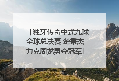 独牙传奇中式九球全球总决赛 楚秉杰力克周龙勇夺冠军