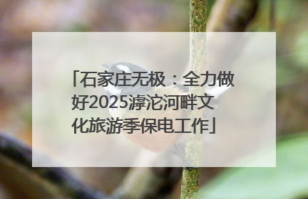 石家庄无极：全力做好2025滹沱河畔文化旅游季保电工作