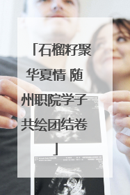 石榴籽聚华夏情 随州职院学子共绘团结卷