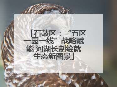 石鼓区：“五区一园一线”战略赋能 河湖长制绘就生态新图景