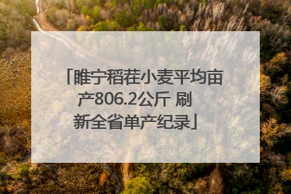 睢宁稻茬小麦平均亩产806.2公斤 刷新全省单产纪录