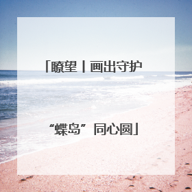 瞭望丨画出守护“蝶岛”同心圆