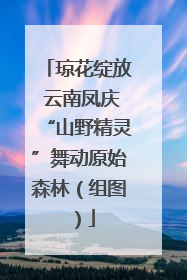 琼花绽放 云南凤庆“山野精灵”舞动原始森林（组图）