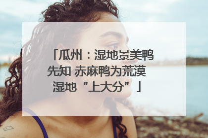瓜州：湿地景美鸭先知 赤麻鸭为荒漠湿地“上大分”