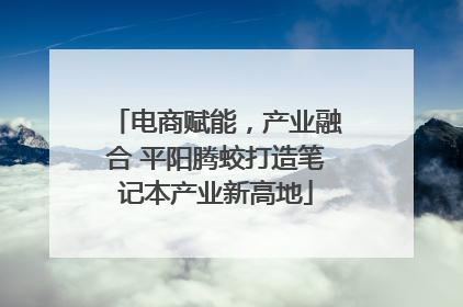 电商赋能，产业融合 平阳腾蛟打造笔记本产业新高地