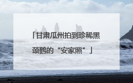 甘肃瓜州拍到珍稀黑颈鹤的“安家照”