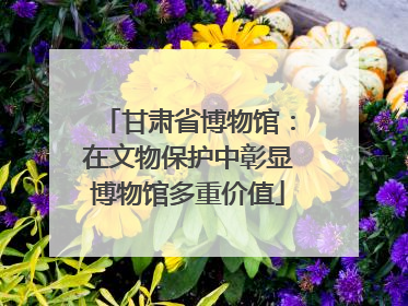 甘肃省博物馆：在文物保护中彰显博物馆多重价值