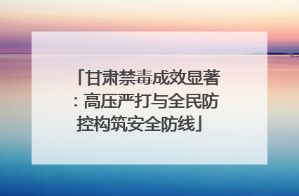 甘肃禁毒成效显著：高压严打与全民防控构筑安全防线