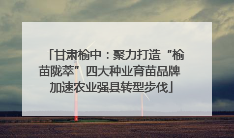甘肃榆中：聚力打造“榆苗陇萃”四大种业育苗品牌 加速农业强县转型步伐