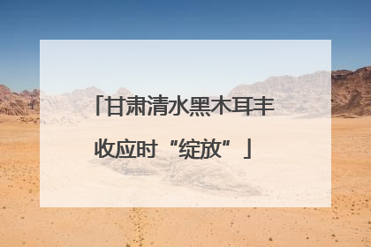甘肃清水黑木耳丰收应时“绽放”