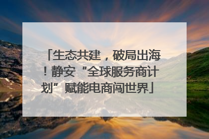 生态共建，破局出海！静安“全球服务商计划”赋能电商闯世界