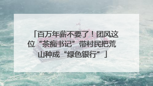 百万年薪不要了！团风这位“茶痴书记”带村民把荒山种成“绿色银行”