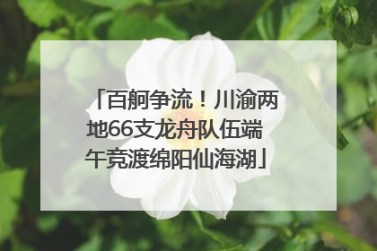 百舸争流！川渝两地66支龙舟队伍端午竞渡绵阳仙海湖