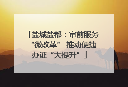 盐城盐都：审前服务“微改革” 推动便捷办证“大提升”