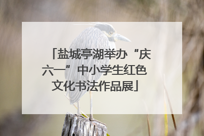 盐城亭湖举办“庆六一”中小学生红色文化书法作品展