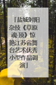 盐城射阳杂技《草原魂·顶》惊艳江苏省舞台艺术优秀小型作品调演