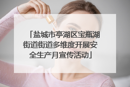 盐城市亭湖区宝瓶湖街道街道多维度开展安全生产月宣传活动