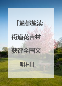 盐都盐渎街道花吉村获评全国文明村