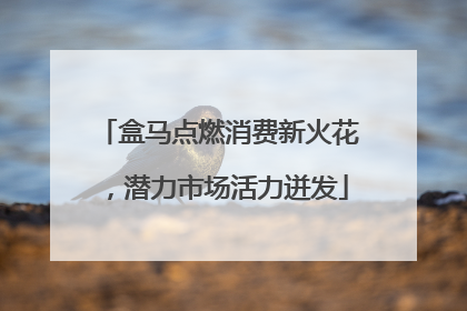 盒马点燃消费新火花，潜力市场活力迸发