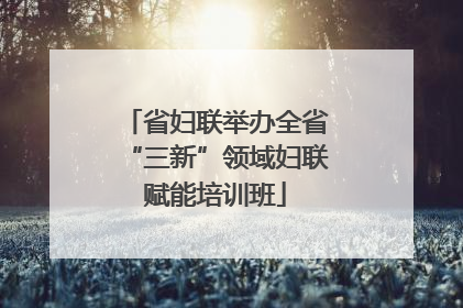 省妇联举办全省“三新”领域妇联赋能培训班