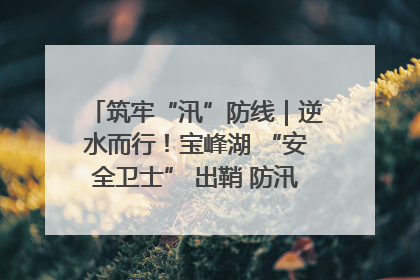 筑牢“汛”防线｜逆水而行！宝峰湖 “安全卫士” 出鞘 防汛应急再添硬核力量