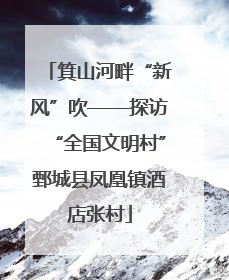 箕山河畔“新风”吹——探访“全国文明村”鄄城县凤凰镇酒店张村