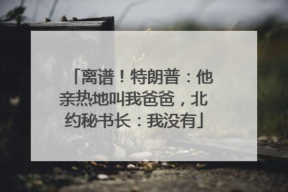 离谱！特朗普：他亲热地叫我爸爸，北约秘书长：我没有