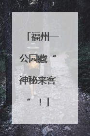 福州一公园藏“神秘来客”！